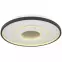 Stropná lampa Brienna 48552D LED PL1,7