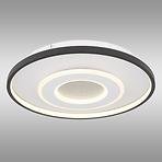 Stropná lampa Brienna 48552D LED PL1