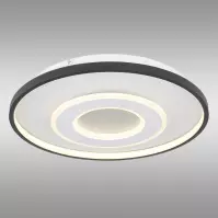 Stropná lampa Brienna 48552D LED PL1