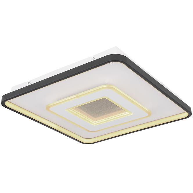 Stropná lampa Brienna 48552D1 LED PL1