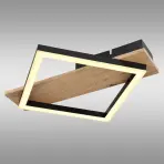 Stropné svietidlo Beatrix 67294D LED LS1