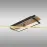 Stropné svietidlo Beatrix 67296D LED LS3