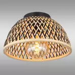 Lampa Colly 15767D LS1