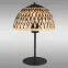 Stolná lampa Colly 15767T LS1