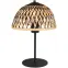 Stolná lampa Colly 15767T LS1,2