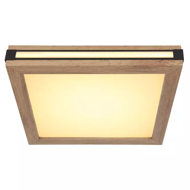 Stropná lampa 41589D1 LED 12W PL1