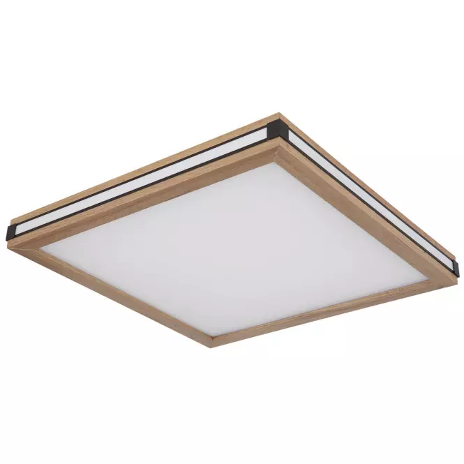 Stropná lampa 41589D2 LED  PL1