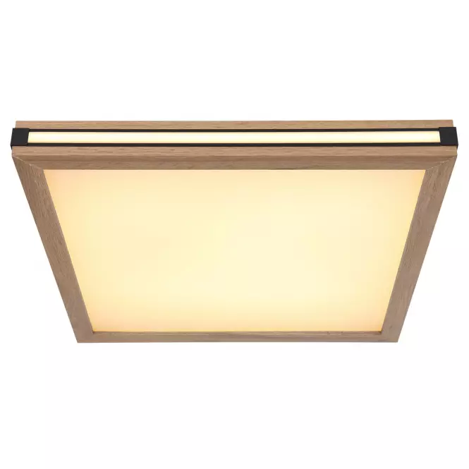 Stropná lampa 41589D2 LED  PL1