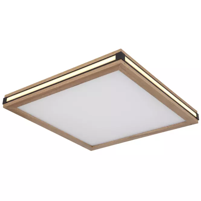 Stropná lampa 41589D2 LED  PL1