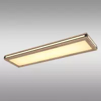 Stropná lampa 41589D4 LED PL1