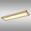 Stropné svietidlo prisadené 41589D4 LED PL1