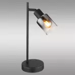 Lampa Hubertus 54308T LB1
