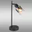 Lampa Hubertus 54308T LB1
