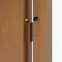 Dvere vchodové Tethys 80L zlatý dub,3