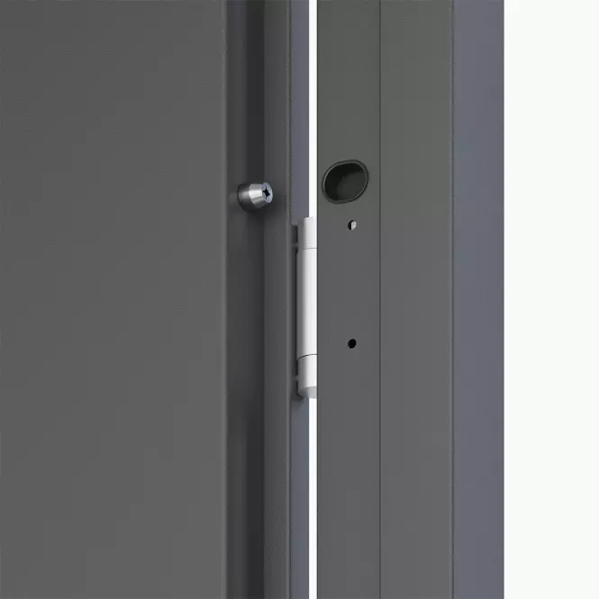 Dvere vchodové Tyfon 80L antracit