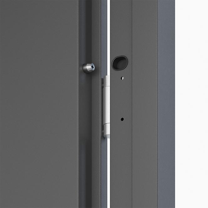 Dvere vchodové Tyfon 80L antracit,3
