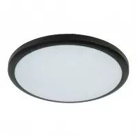 Stropná lampa LARA 12W 4000K Black VO2921 PL1