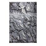 Koberec Frisee Phoenix 1,6/2,3 6022 544