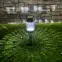 Solárna lampa INOX EKO0597,4