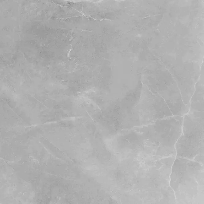 Gres Ambrosio Gris 59,7/59,7