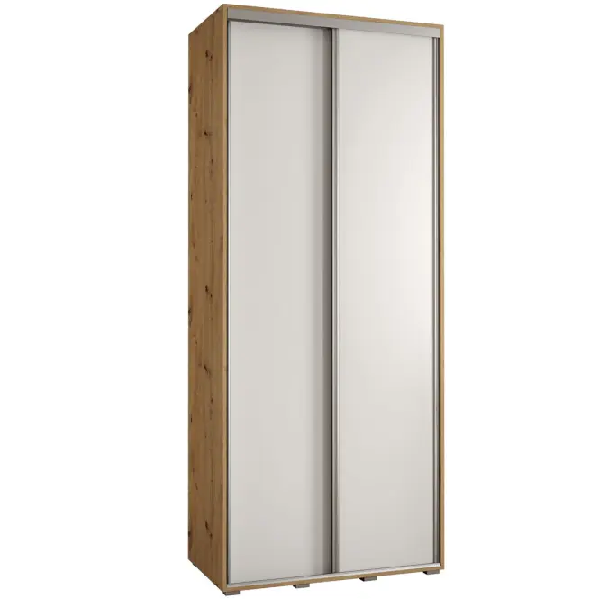 Skriňa s posuvnými dverami Canaris 1 100 cm – artisan/biela/strieborná, dvojdverová