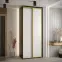 Skriňa s posuvnými dverami Canaris 1 100 cm – čierna/biela/gold, dvojdverová,4