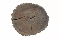 Nášľapný betónový  kameň  Ø32cm  hnedý