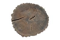 Nášľapný betónový  kameň  Ø32cm  hnedý