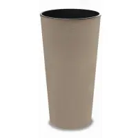mocca