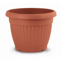 terakota