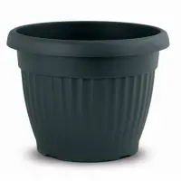 antracit