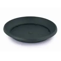 antracit
