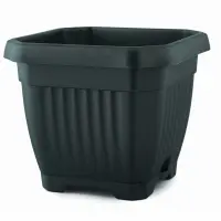 antracit