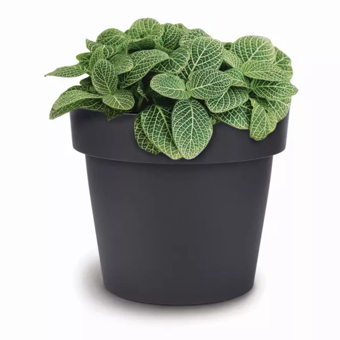 Kvetináč Melrose 14x13h 1,1lt Antracit Ma195,2