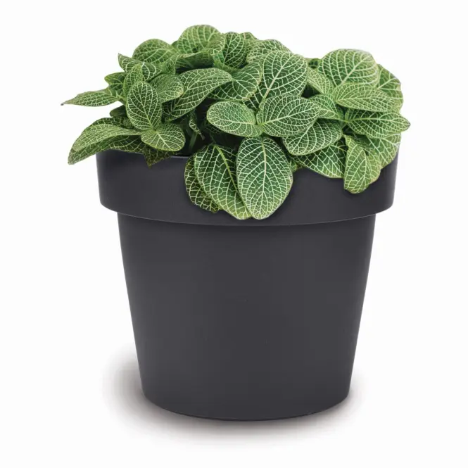 Kvetináč Melrose 40x34h 28lt Antracit Ma300,2