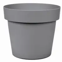 sivá