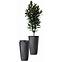 Kvetináč Sahara High 35x60h Antracit Sa060,2