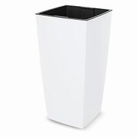 biela