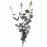 Eukaliptus 59cm A2040019