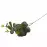 Eukaliptus 64cm A2040061