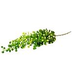 Dekoračná vetvička 65cm A2040039