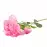 Paeonia 59cm ružová A2010570