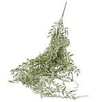 Popínavá rastlina 78cm zelená A2060043