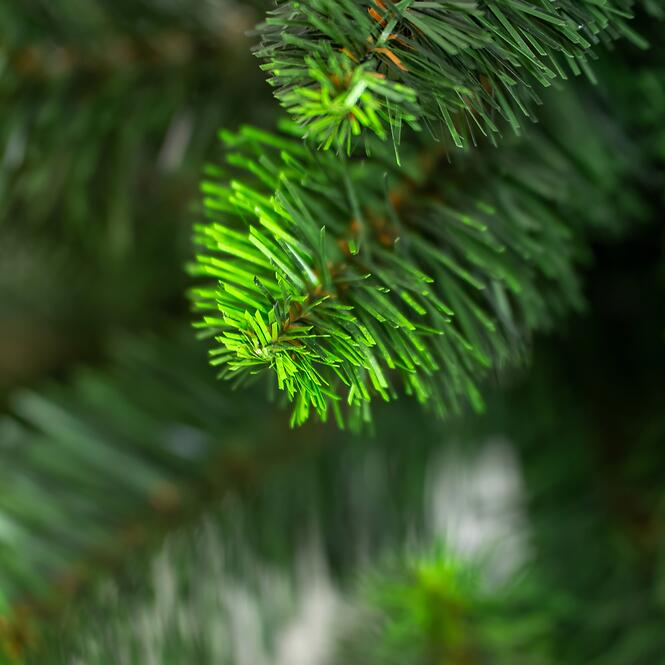 Vianočný stromček borovica zelené konce 80 cm