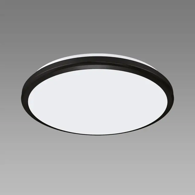 Stropná lampa Dowbor LED C 12W black NW PL1