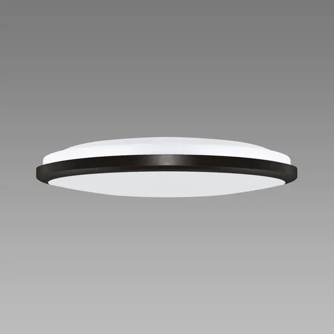 Stropná lampa Dowbor LED C 12W black NW PL1