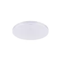 Luster Dowbor 04953 LEDC 18W white NW PL1