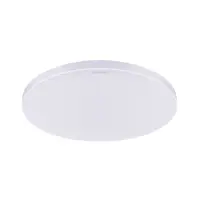 Luster Dowbor 04954 LEDC 24W white NW PL1