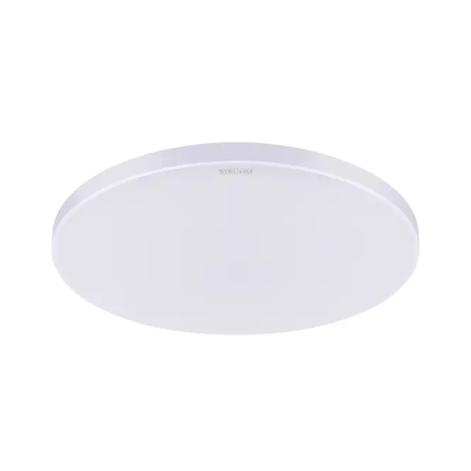 Luster Dowbor 04954 LEDC 24W white NW PL1