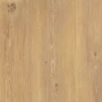Gresová dlažba Nedre Beige 59.5X59.5 / 2.0